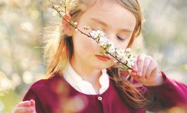 شرکت رایحه ماهریس