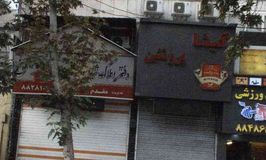 گیشا پروتئین